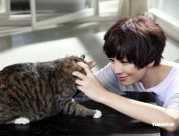 賈靜雯為齊秦新歌拍MV 剪短發青澀俏麗