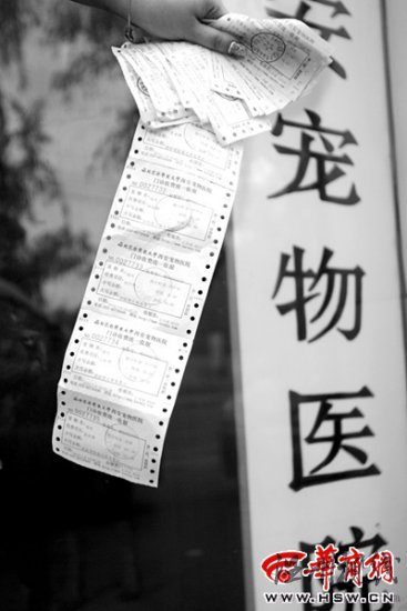 女士給寵物狗做流產(chǎn)花費(fèi)2800元(圖)