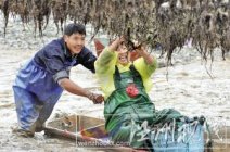 洞頭霓嶼鄉(xiāng)-洞頭紫菜