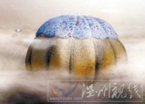 霍金瞎猜測外星人長相 什么長毛獸水母都是隨便瞎編