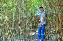 重慶江北某娛樂(lè)城打工妹遭強(qiáng)暴后淡定機(jī)智邀嫌犯開(kāi)