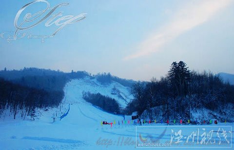 冰雪游:夢幻哈爾濱