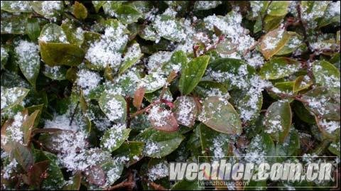 張家界景區迎來下半年首場降雪 天門山氣溫降至-7℃