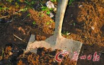 挑戰(zhàn)紀(jì)錄被活埋 斯里蘭卡青年挑戰(zhàn)被活埋吉尼斯記錄