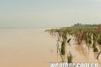 寧夏地區將有明顯降水 黃河防汛壓力將大增
