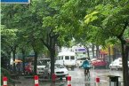 近日上海高溫天持續 午后多強降雨