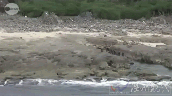 日本警察登島