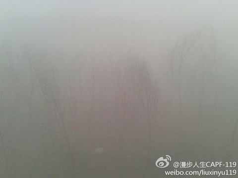 今天早晨大霧彌漫