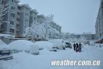 北京暴雪 11月4日北京入冬以來首場大雪延慶達暴雪降