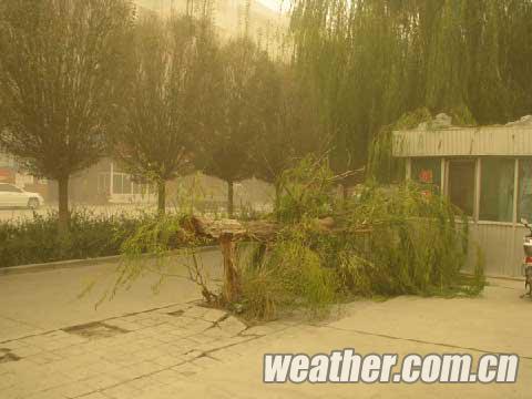 受西伯利亞南下冷空氣影響 新疆哈密南部出現沙塵暴