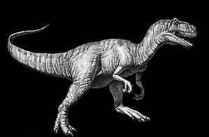 許多科學(xué)家認(rèn)為正是小行星撞擊地球?qū)е驴铸垳缃^。