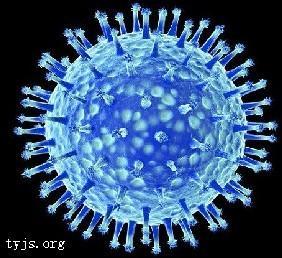 人感染高致病性禽流感誘因甲型流感H5N1病毒
