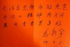 毛新宇書法其實稱不上