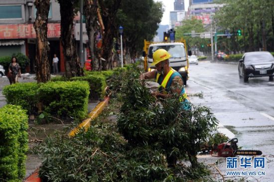 蘇力正面襲擊臺灣