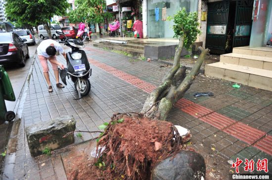 飛燕臺風對海南影響