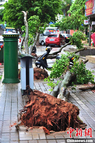 飛燕臺風對海南影響