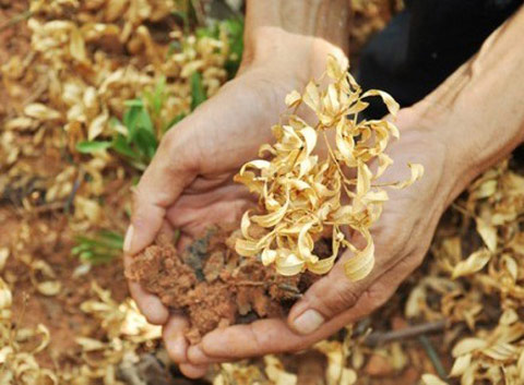 湖南立秋高溫再次升級 今天下午局地有40℃以上高溫