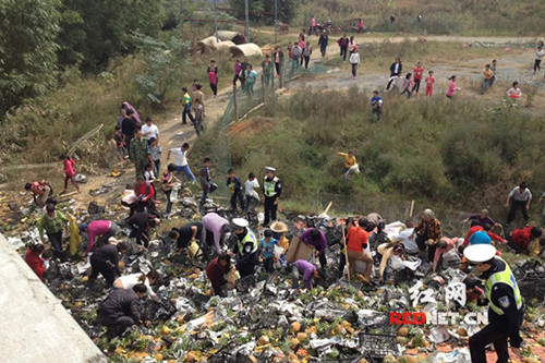 近20噸的菠蘿被村民哄搶