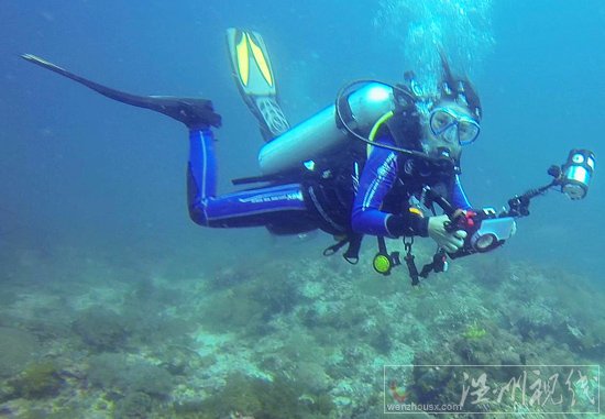 溫州戶外達人貞妤菲律賓潛水