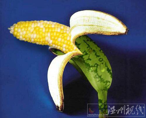 什么叫轉基因食品