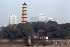 江心嶼的塔傾斜問題 溫州江心嶼西塔傾斜不會倒