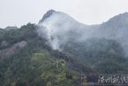 永嘉巖頭鎮(zhèn)下烘頭村2014年3月16日發(fā)生森林火災