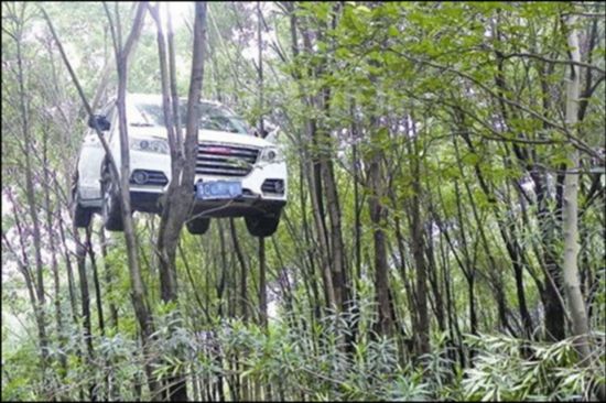 溫州一越野車(chē)掛樹(shù)上