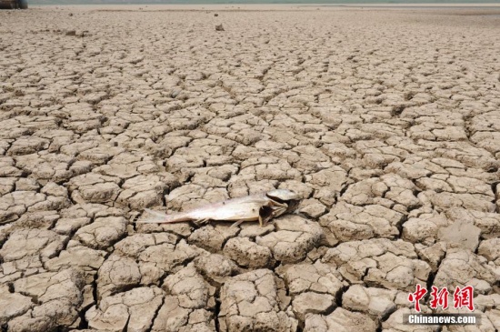 陜西遭受嚴(yán)重干旱