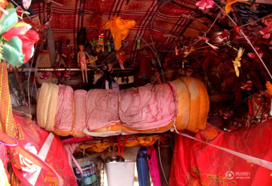 蝸牛哥扛屋回家