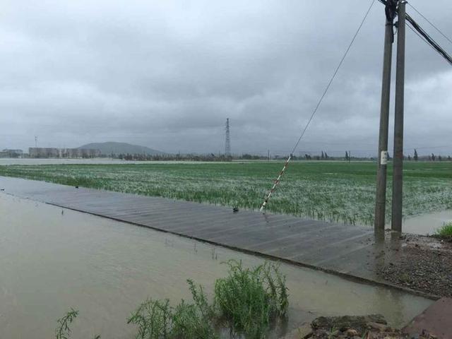 “燦鴻”造成寧波直接損失19.8億 受災人口34.5萬