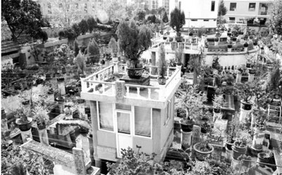 上海私人博物館遭強拆