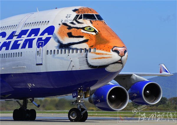 俄羅斯迎來老虎日