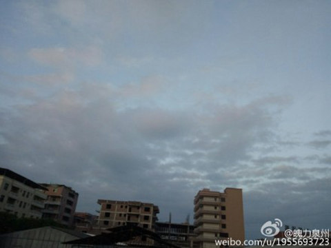 福州杜鵑最新消息