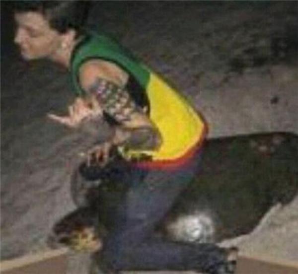 女子騎海龜被控5年監禁