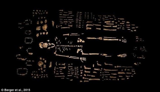 南非現新人種遺骸