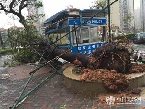 湛江臺(tái)風(fēng)彩虹造成1人死亡16人失蹤