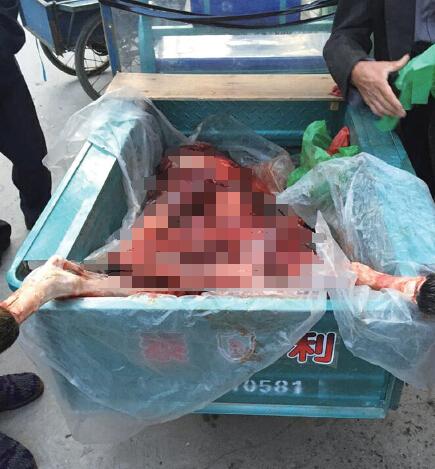 溫州3名老人非法獵殺“神獸” 均已被刑拘