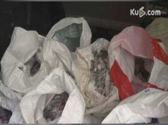 500斤母愛(ài)!單親媽媽扛500斤硬幣為女兒買(mǎi)房