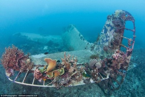 南太平洋海底發現二戰軍機