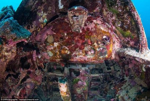 南太平洋海底發現二戰軍機