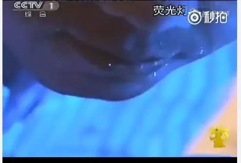 央視曝光劣質(zhì)餐巾紙含致癌物