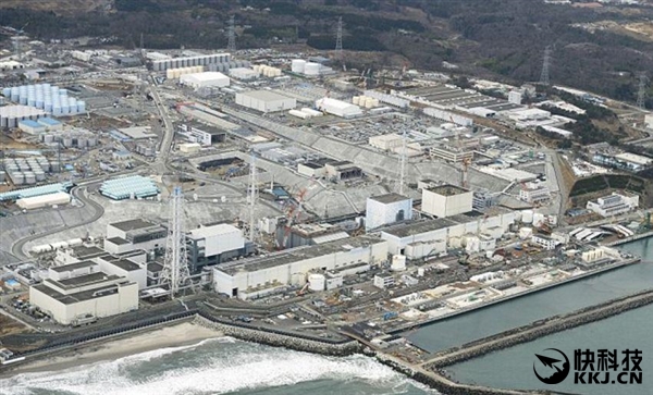 野豬遭核污染變異