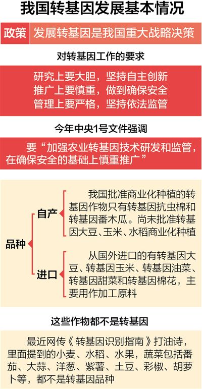 農業部回應轉基因