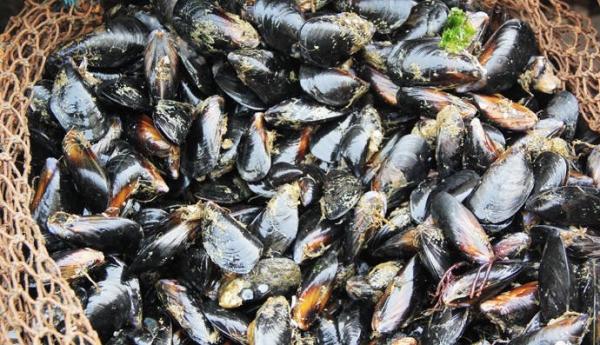 秦皇島海虹中毒