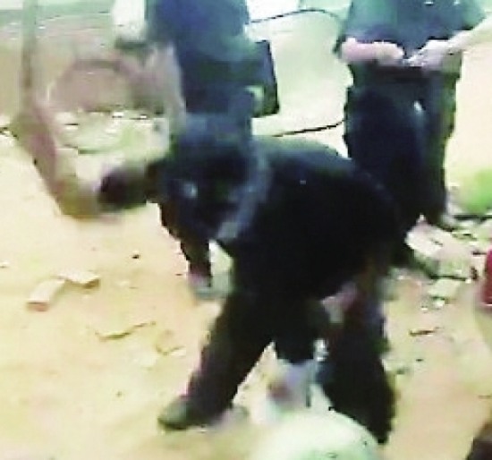 海口強拆暴力執(zhí)法