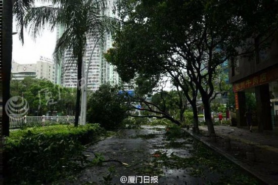 臺風莫蘭蒂襲擊廈門