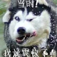 亞洲最時尚面孔