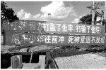 海南勸架標(biāo)語走紅 打贏坐牢 打輸住院