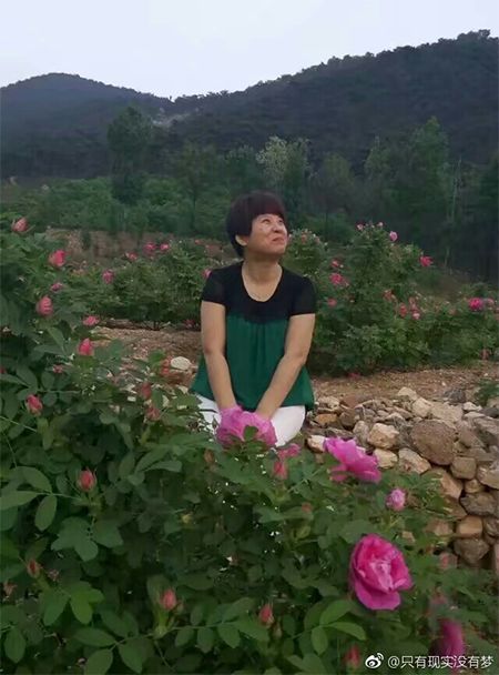 阿姨7條絲巾照相