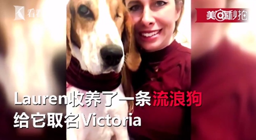 女子被聞出皮膚癌 流浪狗嗅覺真強(qiáng)大